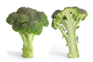 Broccoli_and_cross_section_edit